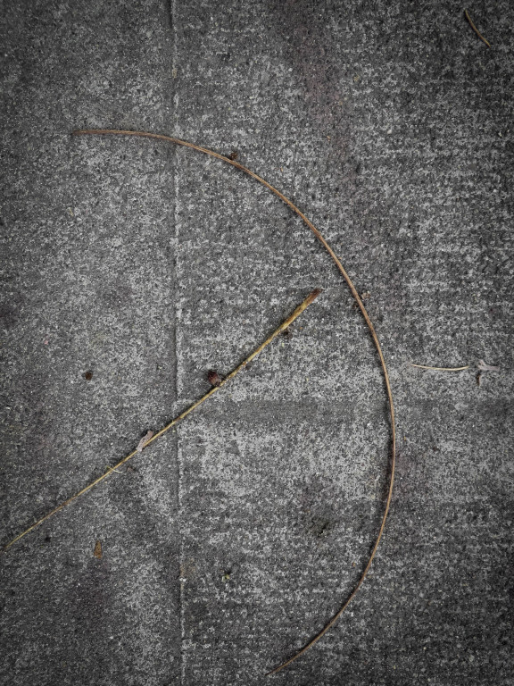 SX 280 9.15.15 006-1